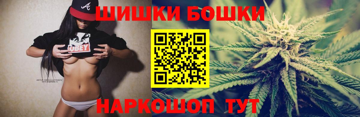 Бошки марихуана план  Вход с VPN  Тосно  Канабис Amnesia  Конопля OG Kush 